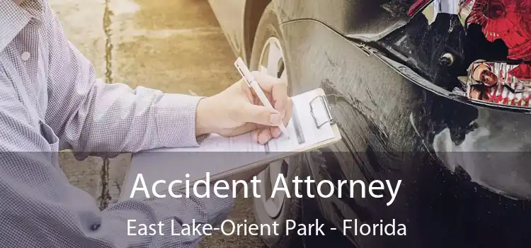 Accident Attorney East Lake-Orient Park - Florida