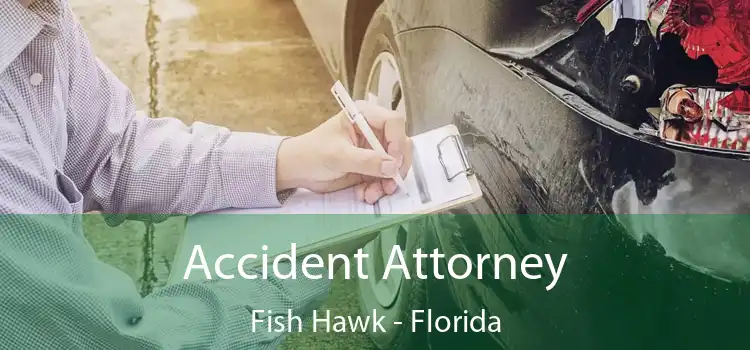 Accident Attorney Fish Hawk - Florida