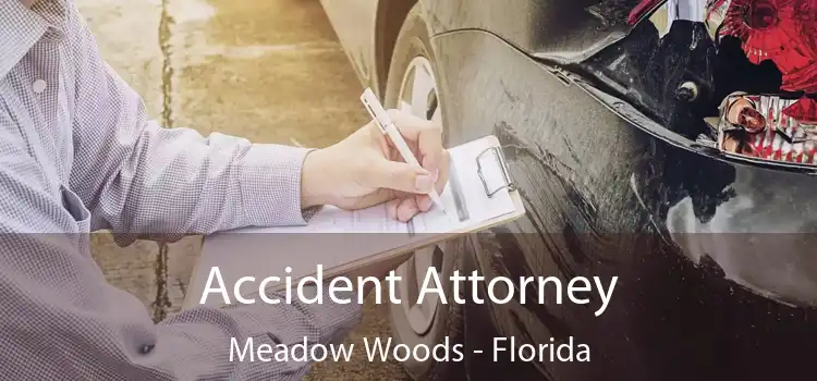 Accident Attorney Meadow Woods - Florida