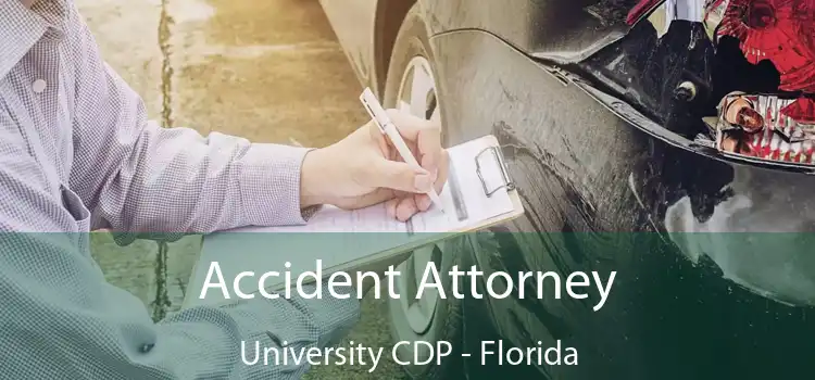 Accident Attorney University CDP - Florida