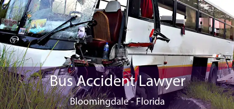 Bus Accident Lawyer Bloomingdale - Florida