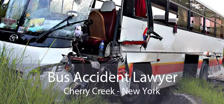Bus Accident Lawyer Cherry Creek - New York