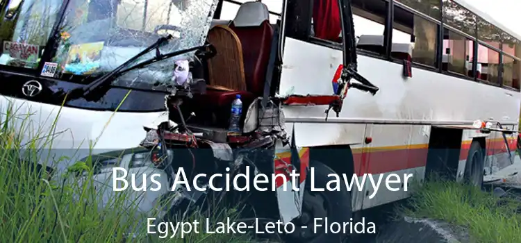 Bus Accident Lawyer Egypt Lake-Leto - Florida