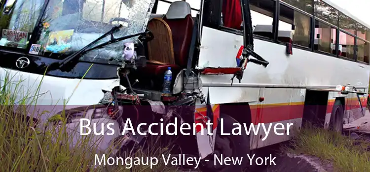 Bus Accident Lawyer Mongaup Valley - New York