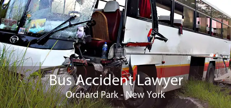 Bus Accident Lawyer Orchard Park - New York