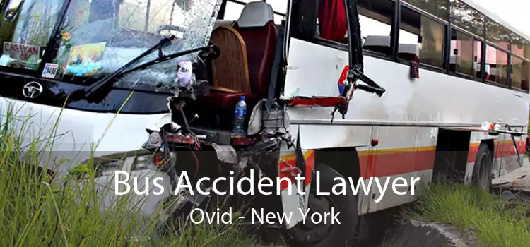Bus Accident Lawyer Ovid - New York