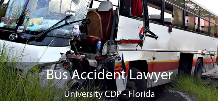 Bus Accident Lawyer University CDP - Florida