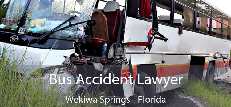 Bus Accident Lawyer Wekiwa Springs - Florida