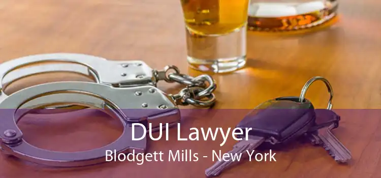 DUI Lawyer Blodgett Mills - New York