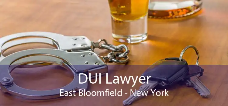 DUI Lawyer East Bloomfield - New York