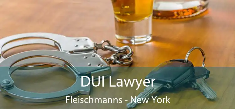 DUI Lawyer Fleischmanns - New York