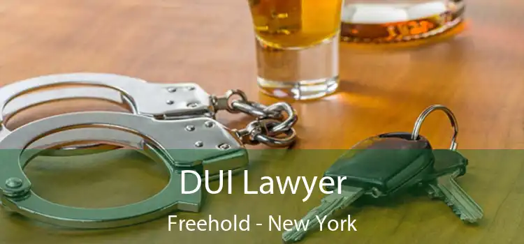 DUI Lawyer Freehold - New York