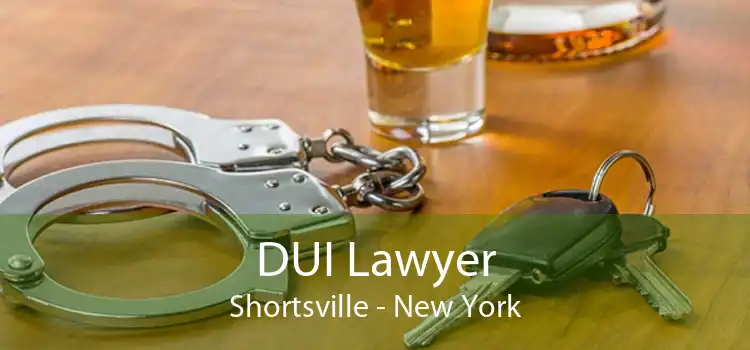 DUI Lawyer Shortsville - New York