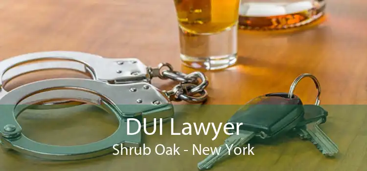 DUI Lawyer Shrub Oak - New York