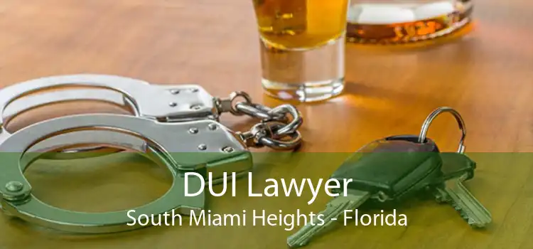 DUI Lawyer South Miami Heights - Florida