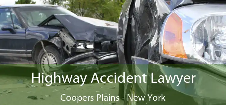 Highway Accident Lawyer Coopers Plains - New York