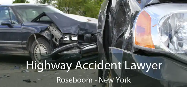 Highway Accident Lawyer Roseboom - New York