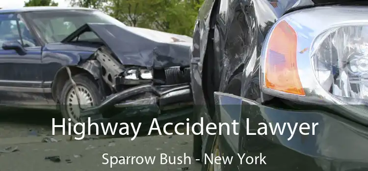 Highway Accident Lawyer Sparrow Bush - New York