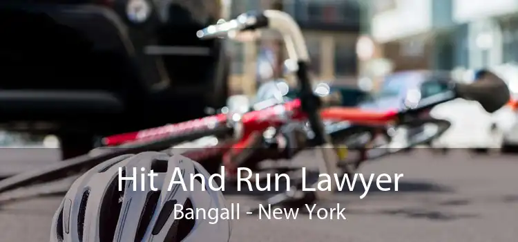 Hit And Run Lawyer Bangall - New York