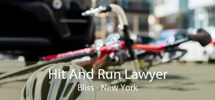 Hit And Run Lawyer Bliss - New York