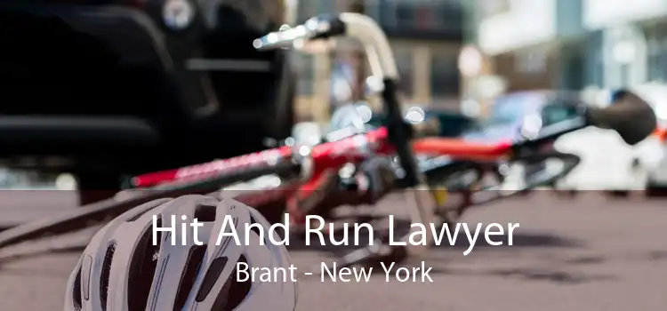 Hit And Run Lawyer Brant - New York