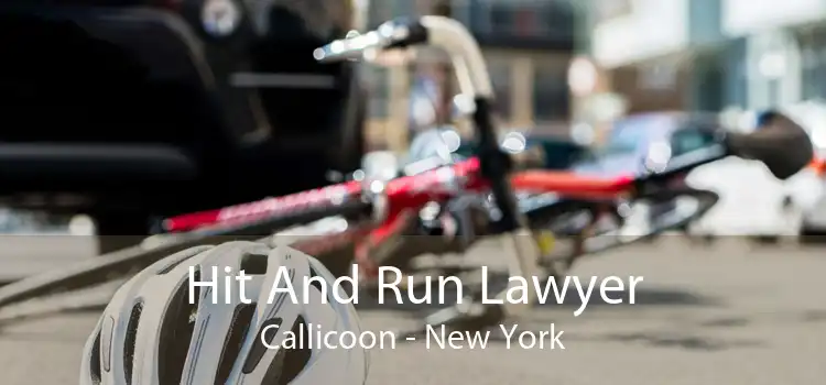 Hit And Run Lawyer Callicoon - New York