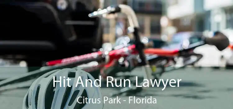 Hit And Run Lawyer Citrus Park - Florida