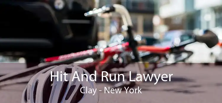 Hit And Run Lawyer Clay - New York
