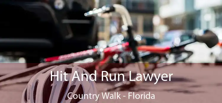 Hit And Run Lawyer Country Walk - Florida