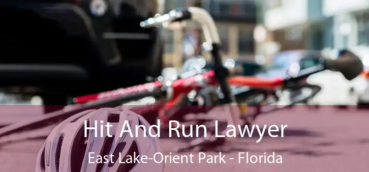 Hit And Run Lawyer East Lake-Orient Park - Florida