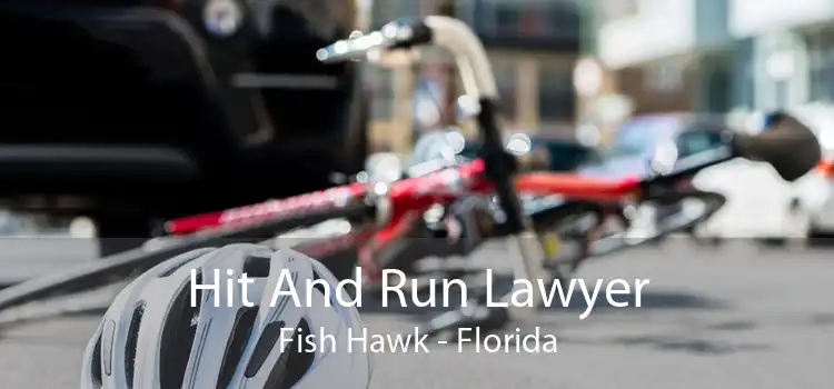Hit And Run Lawyer Fish Hawk - Florida