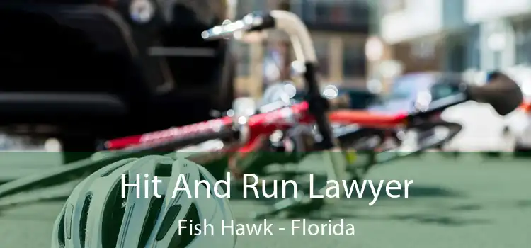 Hit And Run Lawyer Fish Hawk - Florida