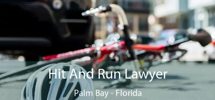 Hit And Run Lawyer Palm Bay - Florida