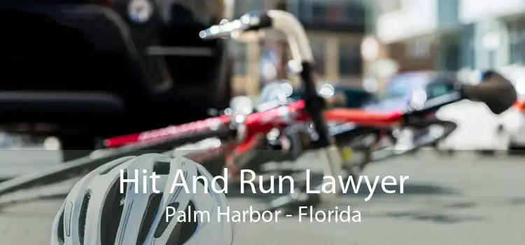 Hit And Run Lawyer Palm Harbor - Florida