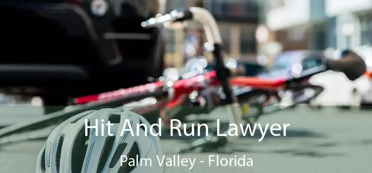 Hit And Run Lawyer Palm Valley - Florida