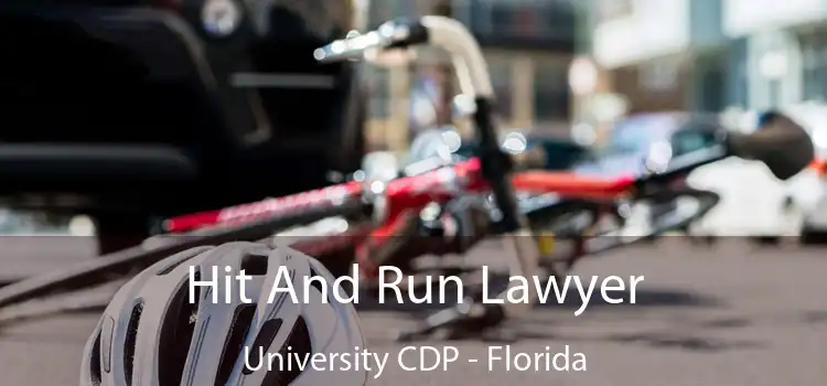 Hit And Run Lawyer University CDP - Florida