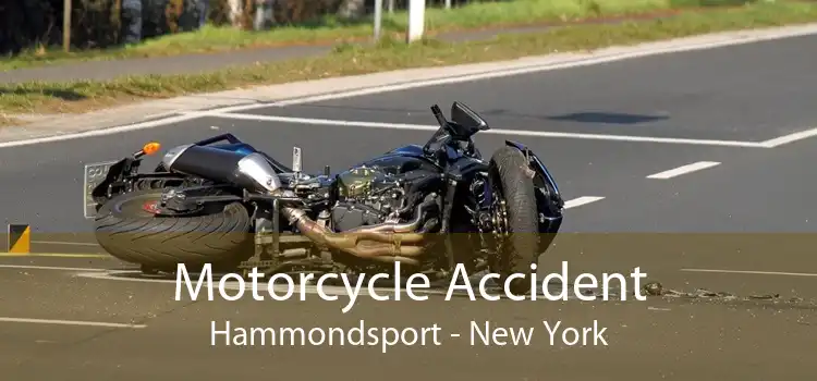 Motorcycle Accident Hammondsport - New York