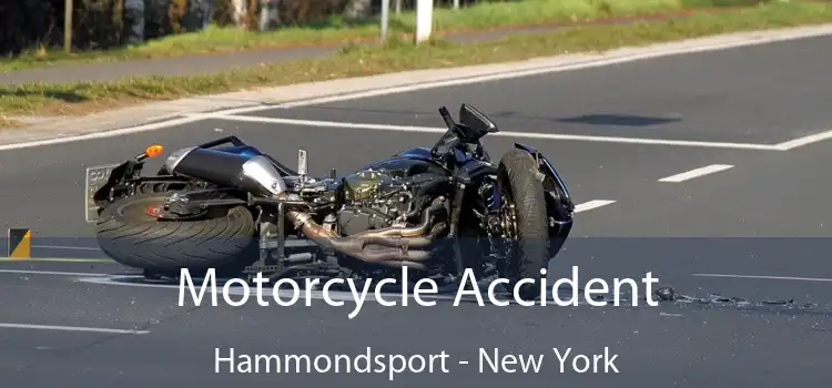 Motorcycle Accident Hammondsport - New York