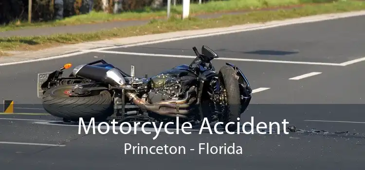 Motorcycle Accident Princeton - Florida