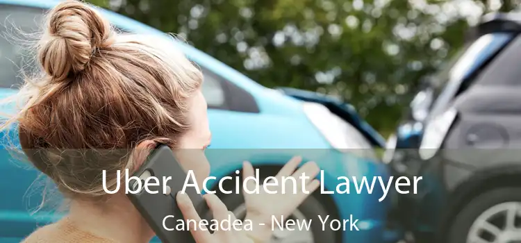 Uber Accident Lawyer Caneadea - New York