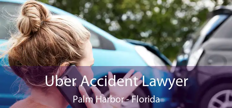 Uber Accident Lawyer Palm Harbor - Florida